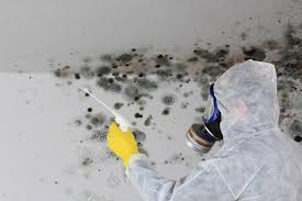 Best Mold Remediation for Healthcare Facilities  in The Meadows, FL